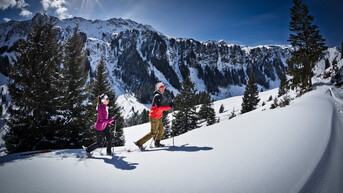 Schneeschuhwandern | © saalbach.com/Mirja Geh