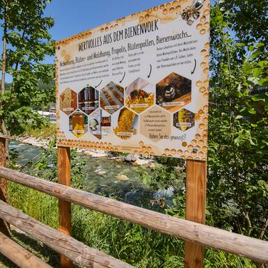 Bienenlehrpfad | © Daniel Roos  Bienenlehrpfad | © Daniel Roos