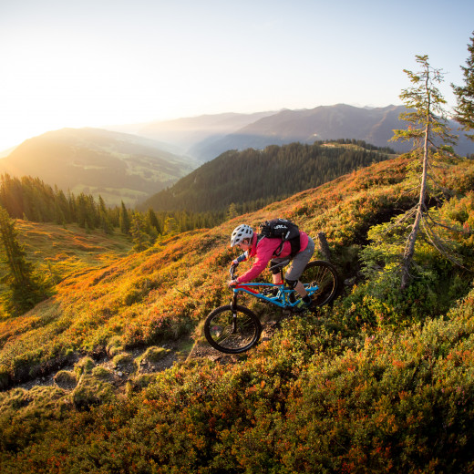 Saalbach Sommer Bike Enduro Downhill