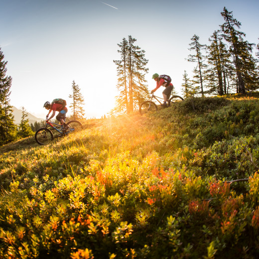 Saalbach Sommer Bike Enduro Downhill Saalbach Sommer Bike Enduro Downhill