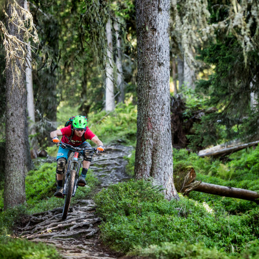 Saalbach Sommer Bike Enduro Downhill Wurzel Trail