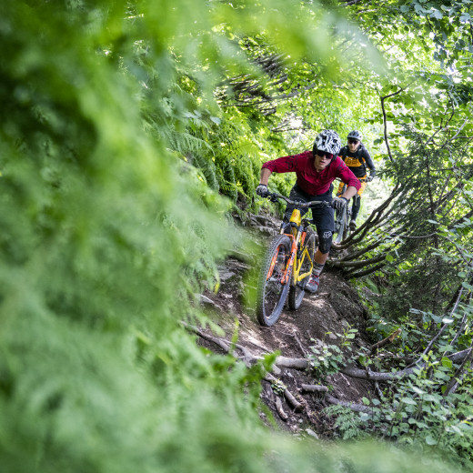 Mountainbiken in Saalbach