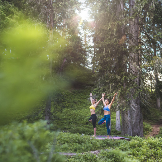 Waldwellness in Saalbach Hinterglemm | © Mia Knoll