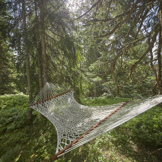 Hammock at the Forest Wellness Path | © Daniel Roos