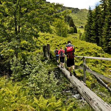 Wanderlehrpfad Saalbach Hinterglemm | © MIrja Geh Wanderlehrpfad Saalbach Hinterglemm | © MIrja Geh