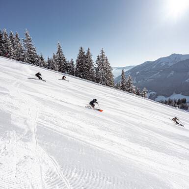 © Roast Media, David Ferk