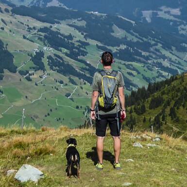 Beautiful views with dog. | © gehlebt.at